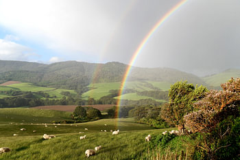 Nieuw Zeeland, New Zealand