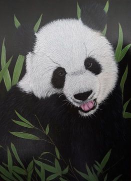 Panda beer van Carla Jacobsen