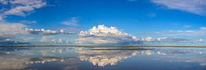 Plage de Texel avec un nuage d'orage approchant au loin. sur Sjoerd van der Wal Photographie