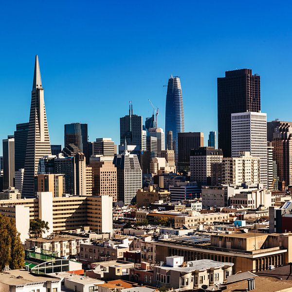 Downtown skyscrapers in San Francisco California USA by Dieter Walther