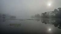 Mistige zonsopkomst