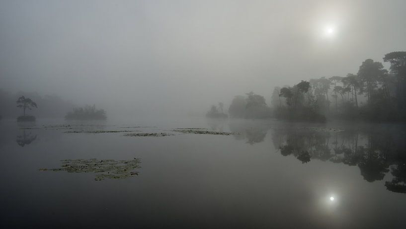 Mistige zonsopkomst by Douwe Bergsma