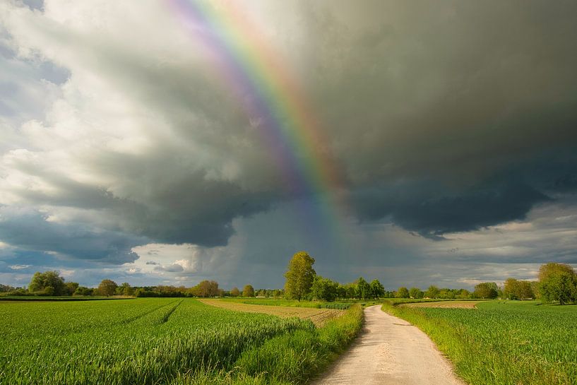 Arc-en-ciel par Tanja Voigt