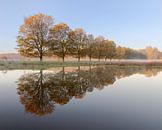 Matin d'automne brumeux à De Ruigte, Vlaardingen par Henno Drop Aperçu