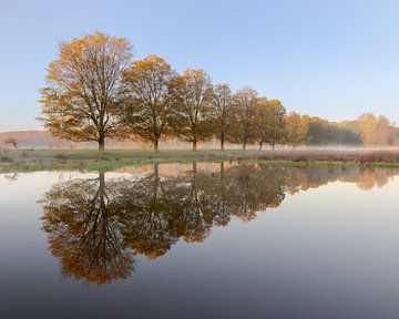 Matin d'automne brumeux à De Ruigte, Vlaardingen sur Henno Drop