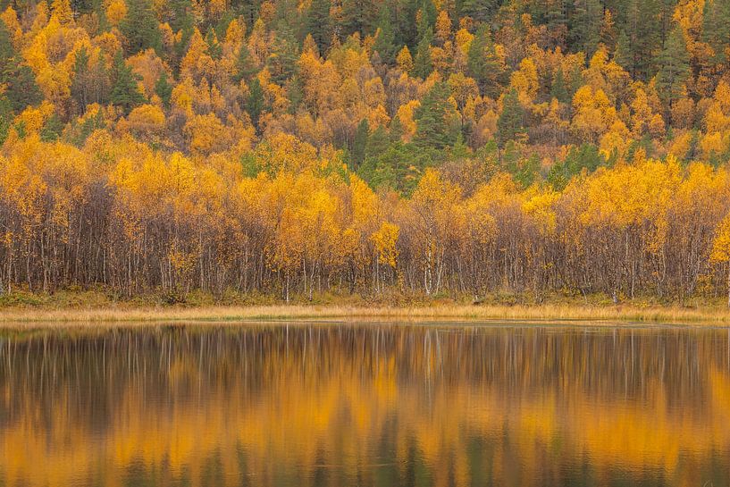 Herfst spiegeling in Noorwegen in oktober van Andy Luberti