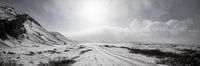 Panorama Thingvellir - IJsland van Gerald Emming thumbnail