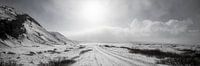 Panorama Thingvellir - Iceland by Gerald Emming thumbnail