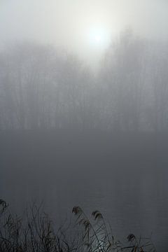 Zon in de mist
