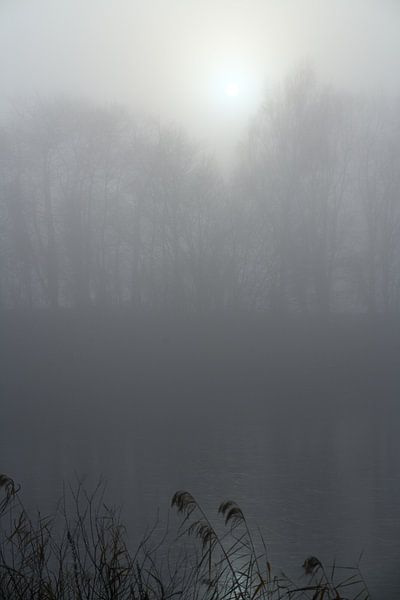Sonne im Nebel von Jörg Bongartz