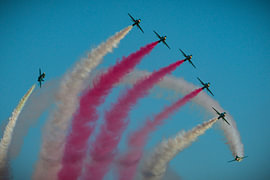 Saudi Hawks von Sebastiaan Hamming