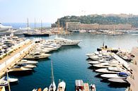 Port de Fontvieille van Louise Poortvliet thumbnail