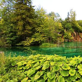 Plitvice meren Kroatie, natuur van Stefan Speelberg