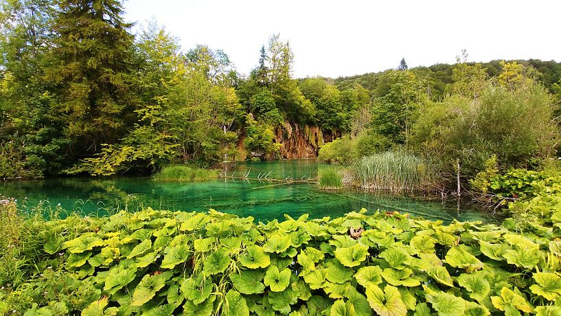 Plitvice meren Kroatie, natuur van Stefan Speelberg