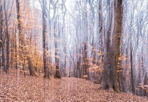 Duno Landgoed part 11