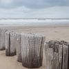 Wellenbrecher am Strand von Cadzand in Zeeland von Marjolijn van den Berg