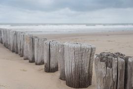 Golfbrekers op het strand van Cadzand in Zeeland