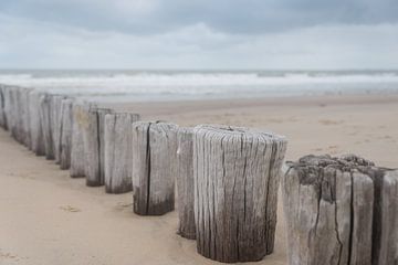 Brise-lames sur la plage de Cadzand en Zélande sur Marjolijn van den Berg