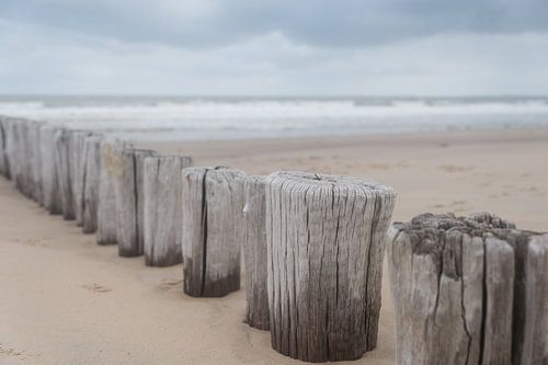Wellenbrecher am Strand von Cadzand in Zeeland von Marjolijn van den Berg