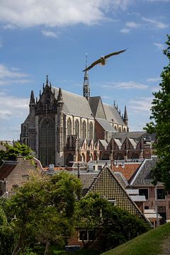 Highland Church Leiden by Carel van der Lippe