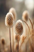 Pastel Nature Macro No 3