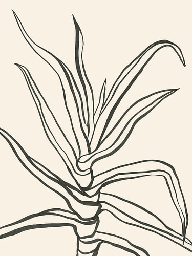 Minimalistisch plantenontwerp
