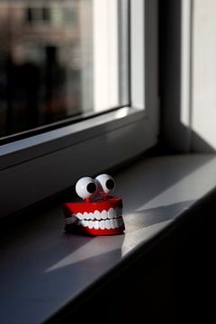 Real life still life Smile! by Lilian Bisschop