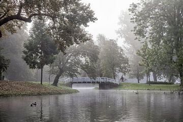 Het Kamper stadspark van Dries van Assen