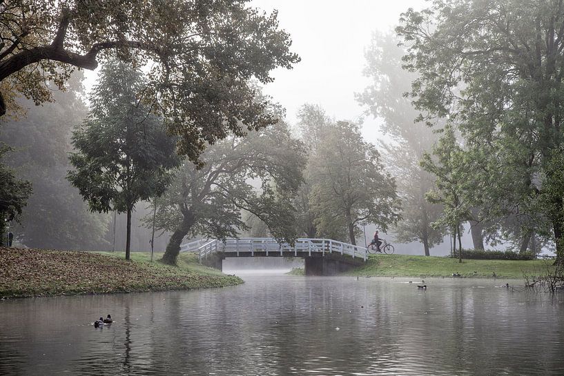 Kamper Stadspark - Niederlande von Dries van Assen