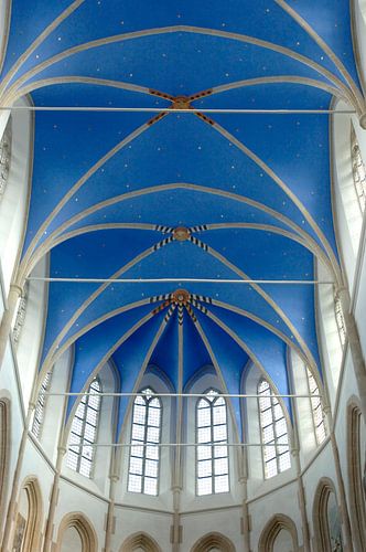 Mariablauw kerkdak, Martinikerk Groningen sur Wim van der Ende