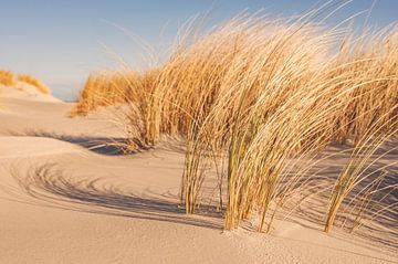 Strand op het eiland Schiermonnikoog in de Waddenzee van Sjoerd van der Wal Fotografie