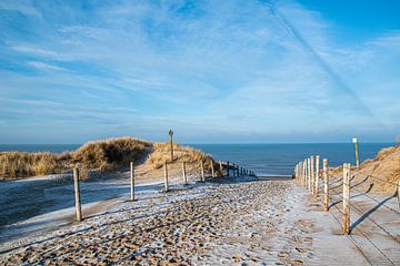 Zandvoort aan zee van Lies Bakker