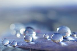 Blue Lagoon by Carla Mesken-Dijkhoff