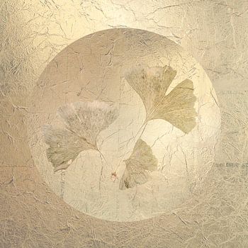 Ginkgo. Sicher in einer Blase. 1
