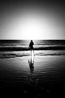 Silhouet in de avondzon