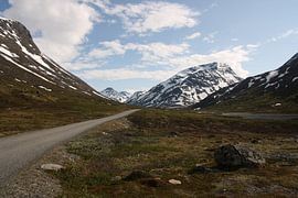 Een weg door de natuur naar het onbekende van Kim van der Lee