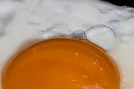 Art of the fried egg by Melany Lampe