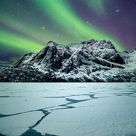 Northern lights at Storvatnet Lofoten (Norway) by Edwin van Wijk