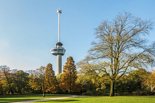Herfst in het Park bij de Euromast in Rotterdam