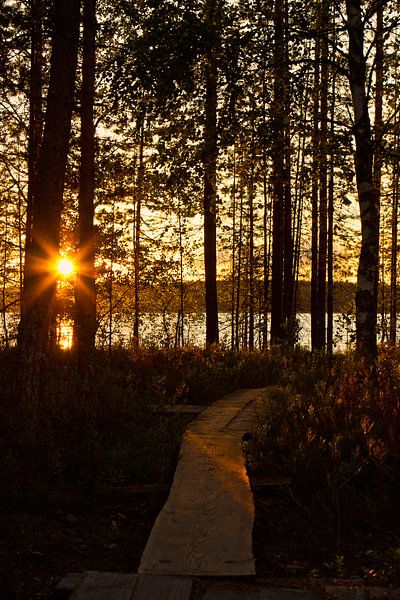 Steg zum See von Anja B. Schäfer