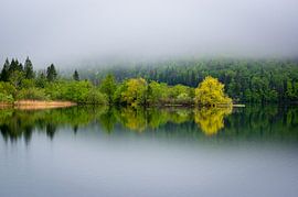 Lake Bohinj, Slovenia