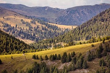 Nockalmstrasse sur Rob Boon