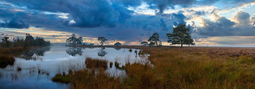 Dwingelderveld by Peet de Rouw