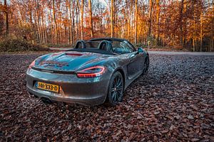 Porsche Boxster GTS Typ 981