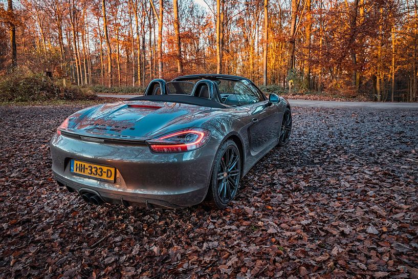 Porsche Boxster GTS Typ 981 von Rob Boon
