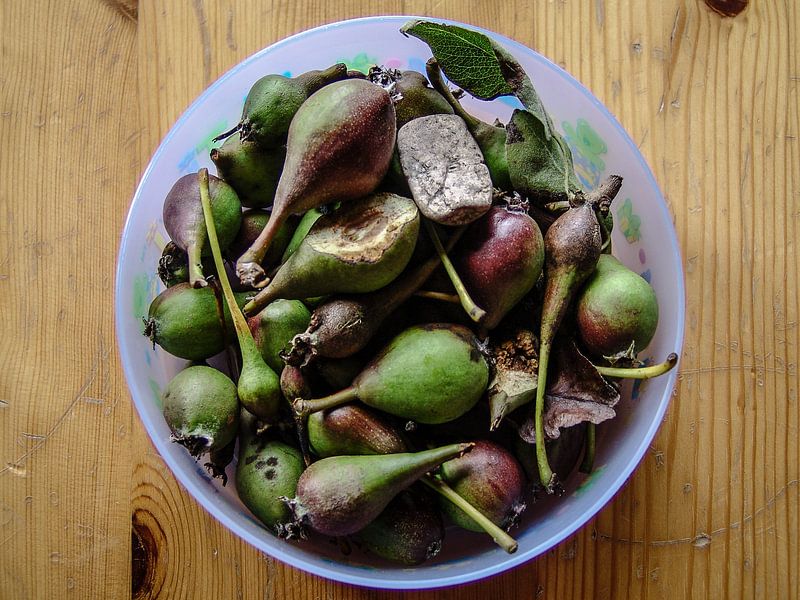 Birnen in einer Schale von Eric van Nieuwland