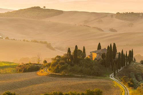 De eerste zonnestralen op een typisch Toscaans laantje