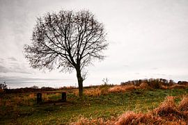 lieu de repos sur Kal