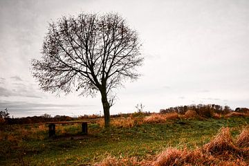 place of rest by Kal