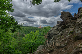 Moody Forest Bastion - Untamed Medieval Fortress for Atmospheric Study by Angelus H